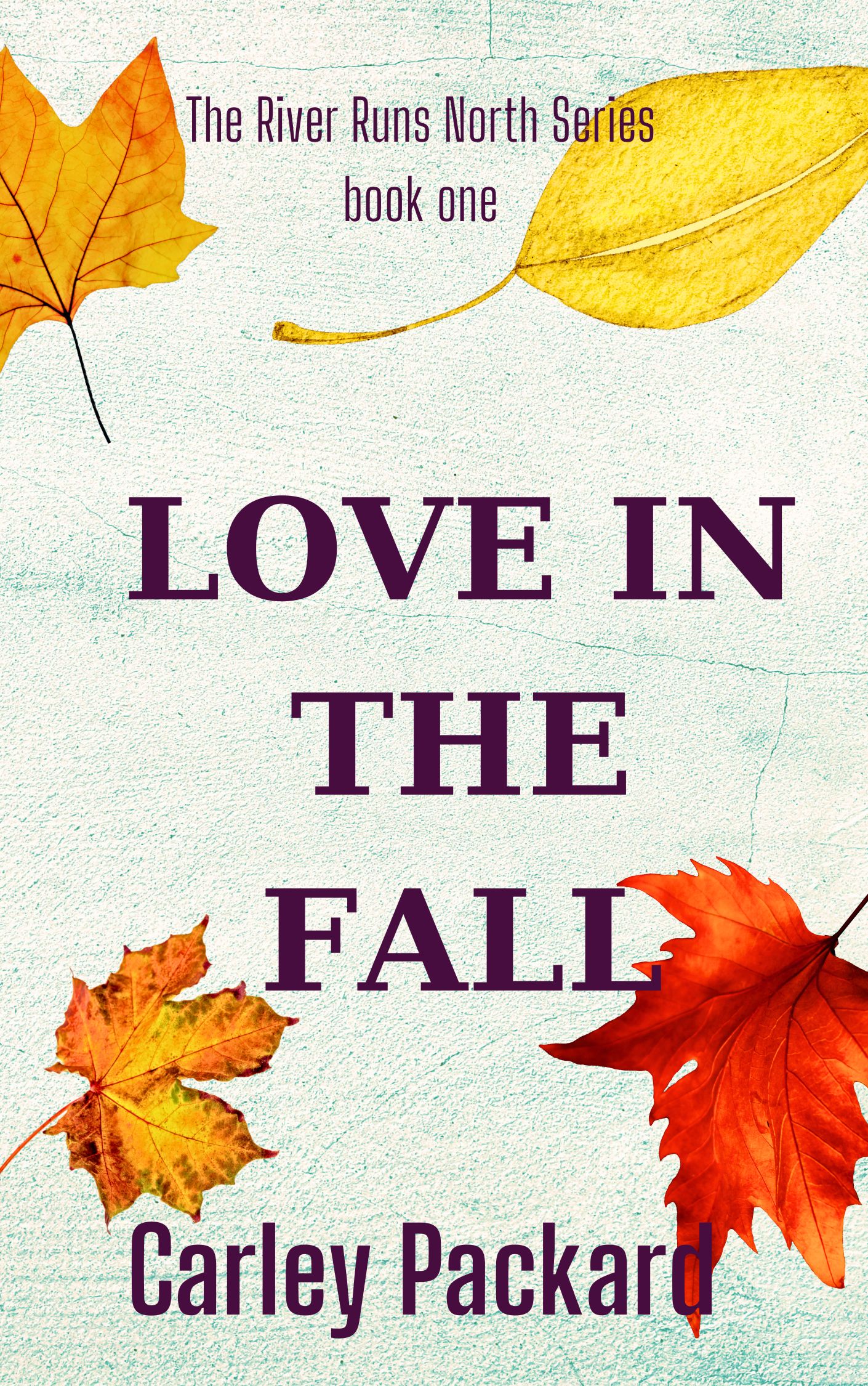 The River Runs North Series book one